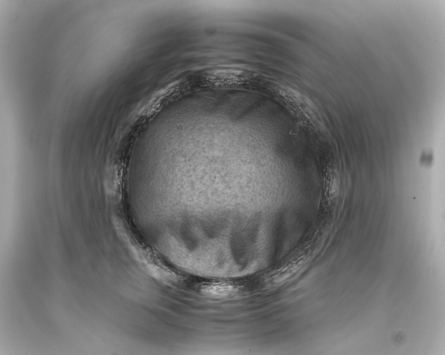 X0000093590759200710291122