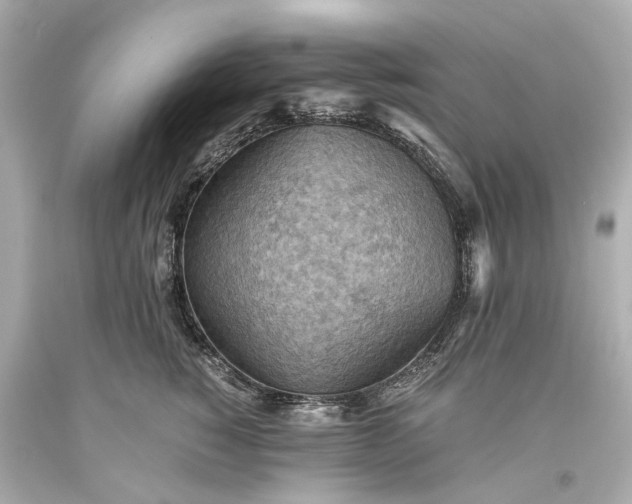 X0000093590760200710291122