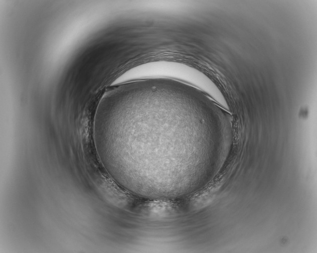 X0000093590762200710291122