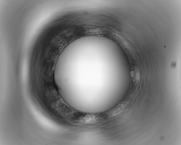 X0000093590764200710291122