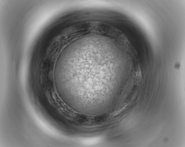 X0000093590765200710291122
