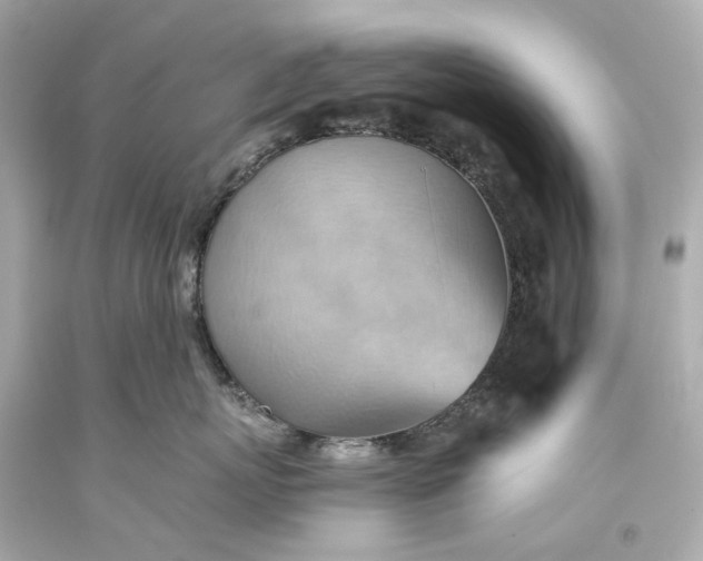 X0000093590767200710291122