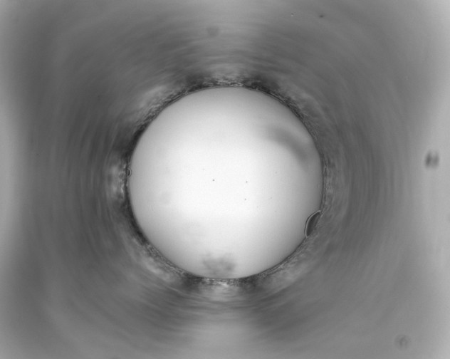 X0000093590768200710291122