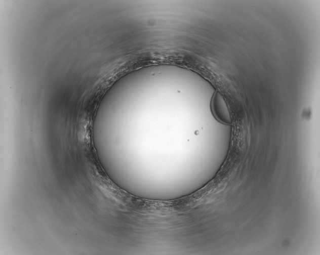X0000093590770200710291122