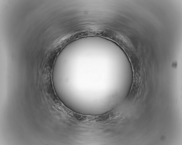 X0000093590773200710291122