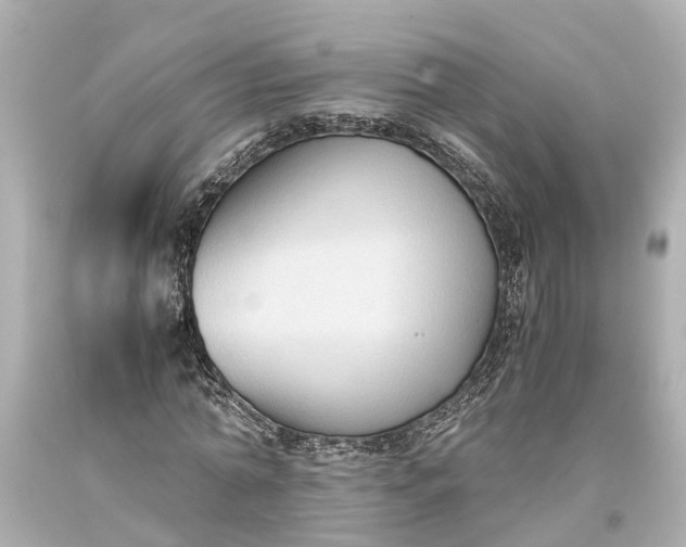 X0000093590774200710291122