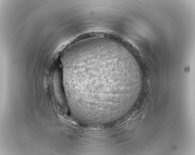 X0000093590775200710291121