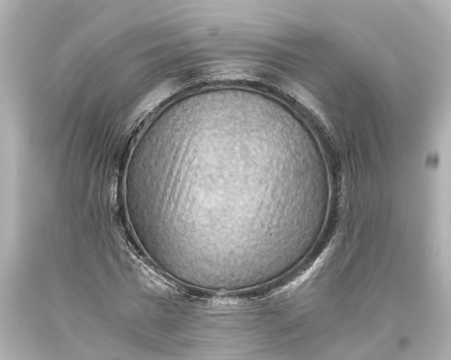 X0000093590777200710291121