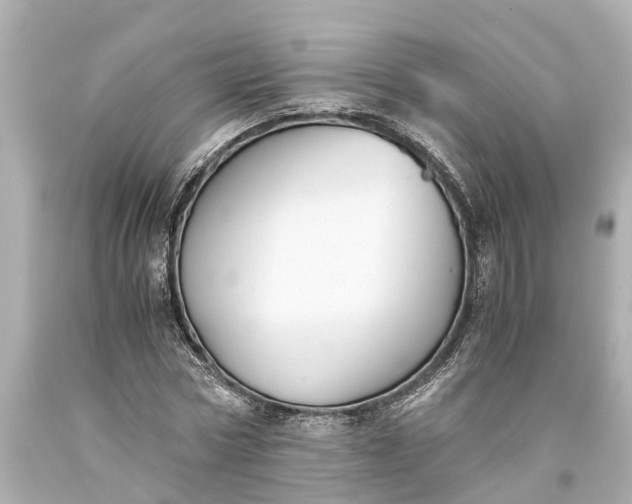 X0000093590778200710291121