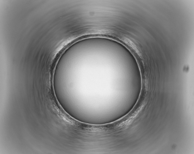 X0000093590781200710291121