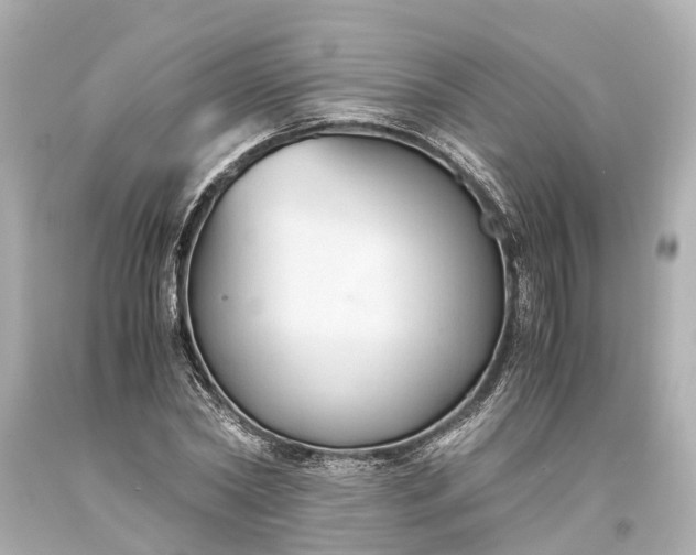 X0000093590782200710291121