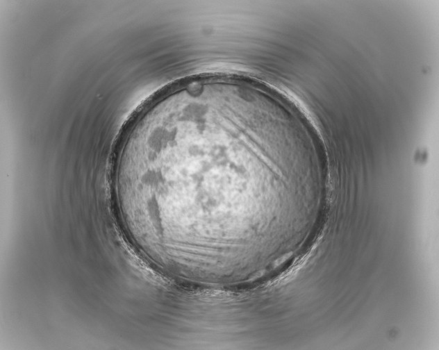 X0000093590783200710291121