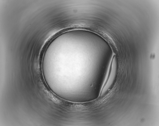 X0000093590784200710291121