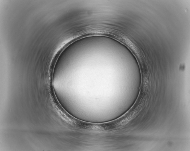 X0000093590787200710291121