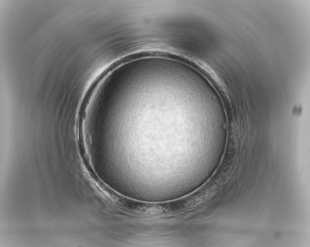 X0000093590791200710291121