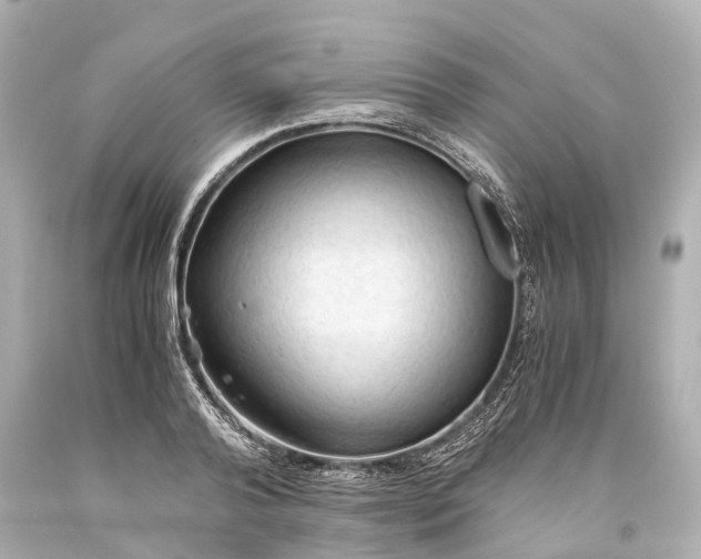 X0000093590792200710291121
