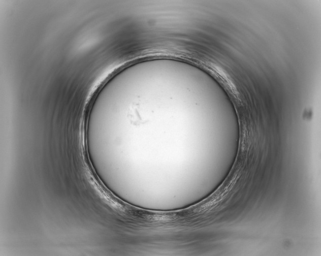 X0000093590796200710291121