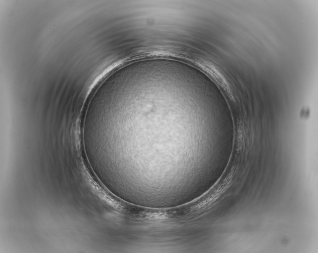 X0000093590798200710291121