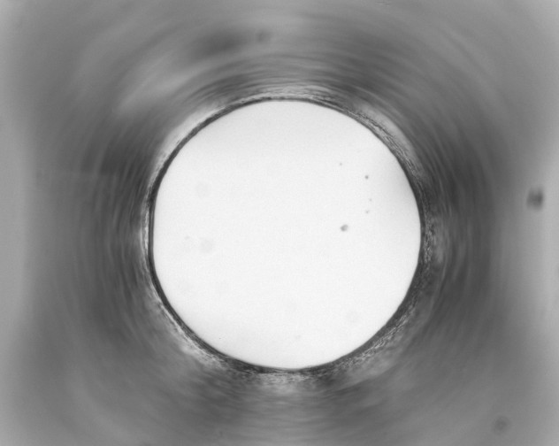 X0000093590804200710291121