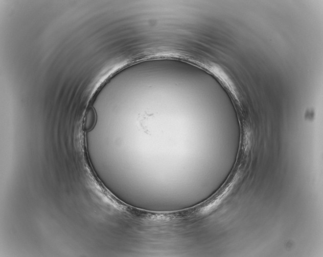 X0000093590806200710291121