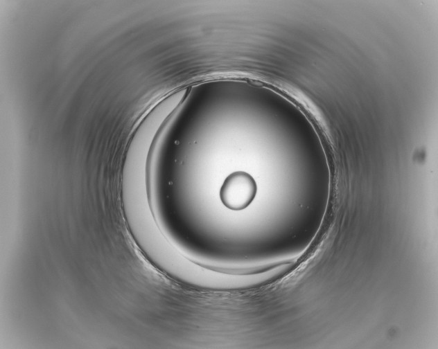 X0000093590809200710291121