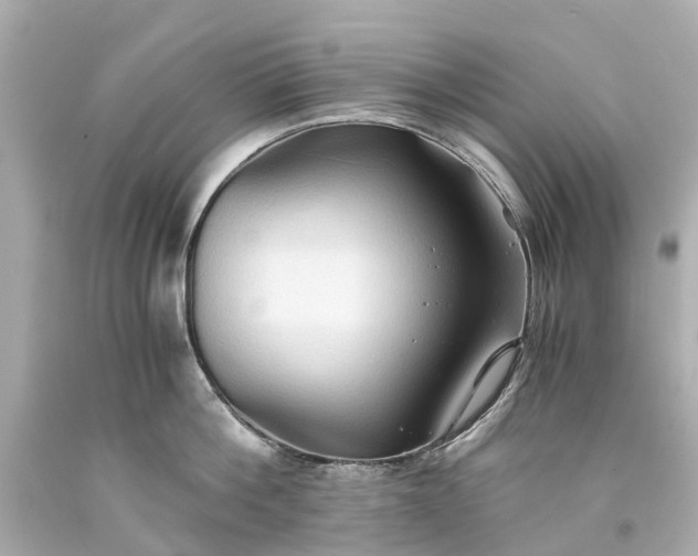 X0000093590812200710291121