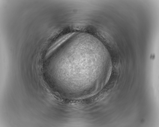 X0000093590817200710291120