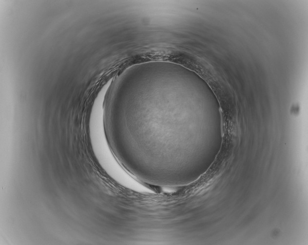 X0000093590818200710291120