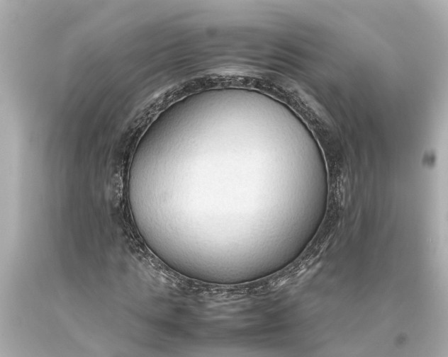 X0000093590821200710291120