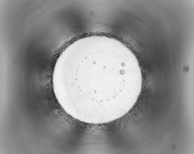 X0000093590824200710291120