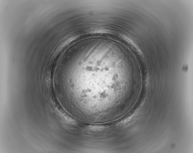 X0000093590825200710291120