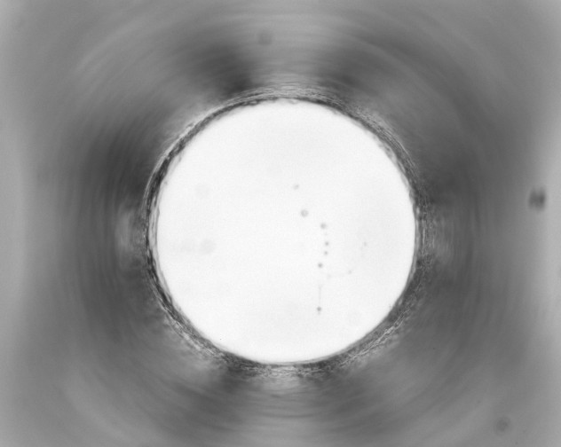 X0000093590828200710291121