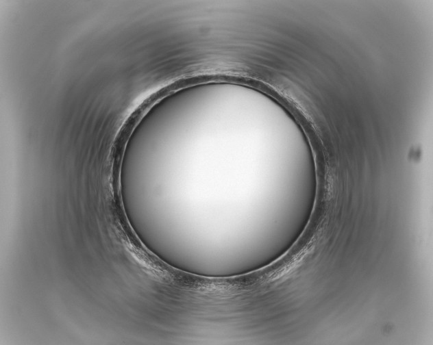 X0000093590830200710291121