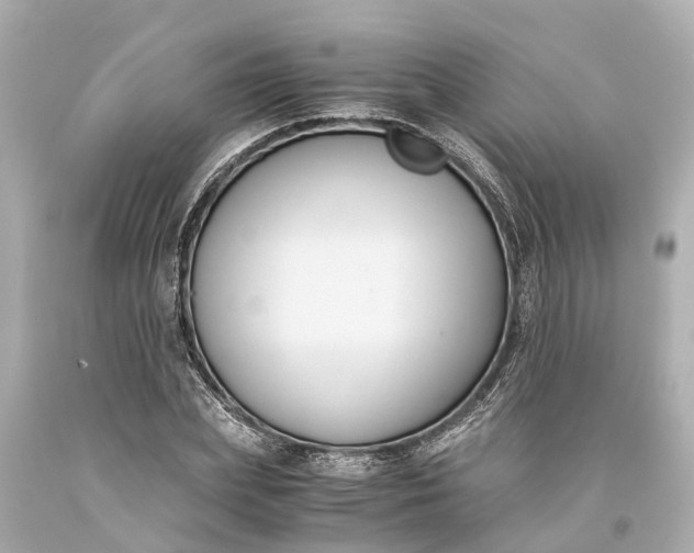 X0000093590831200710291121