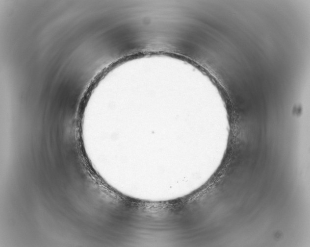 X0000093590832200710291121