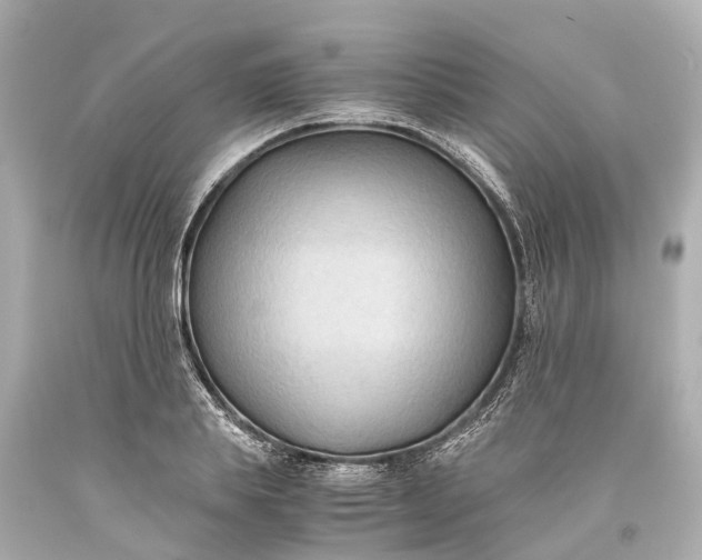 X0000093590839200710291121