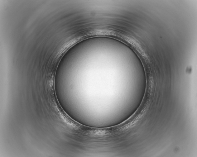 X0000093590841200710291121