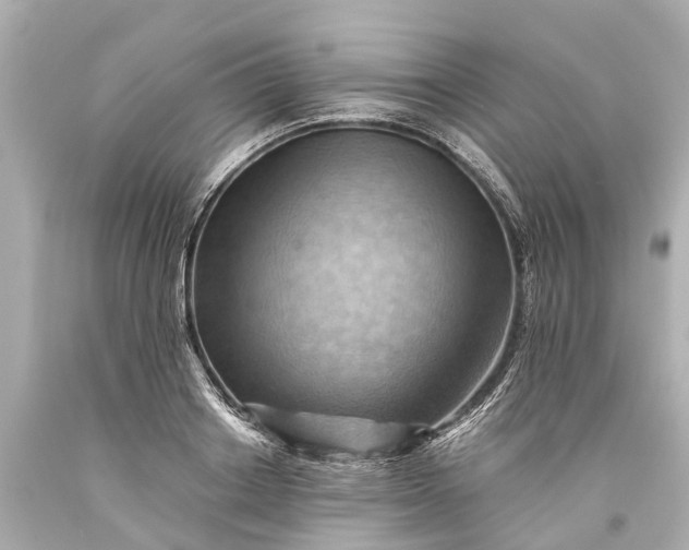 X0000093590842200710291121