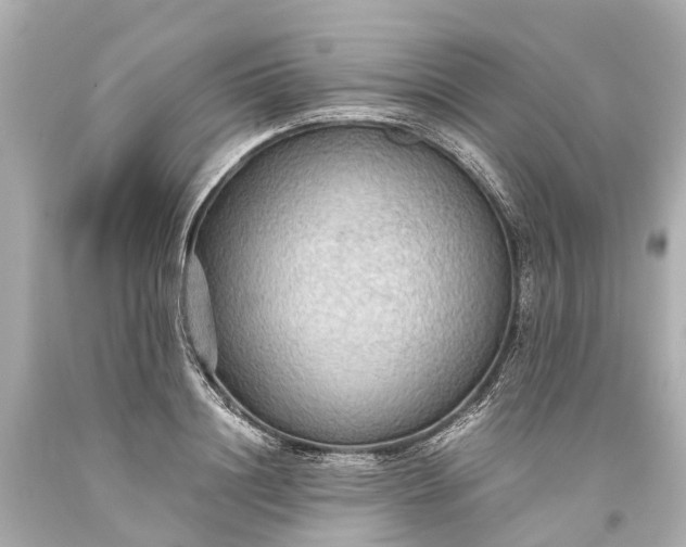 X0000093590844200710291121
