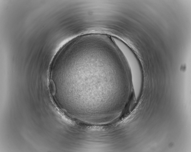 X0000093590846200710291121