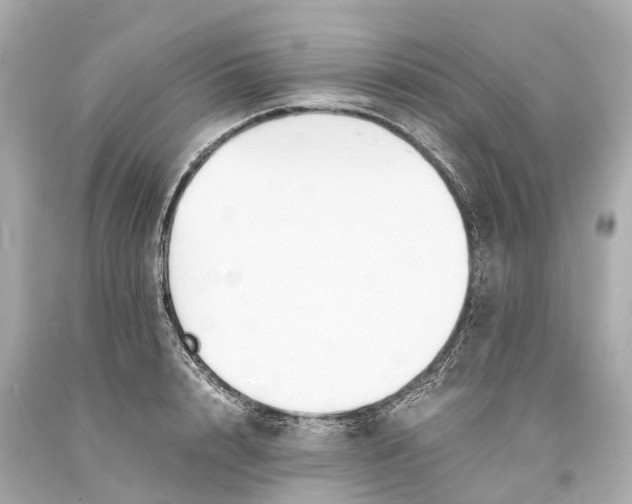 X0000093590848200710291121