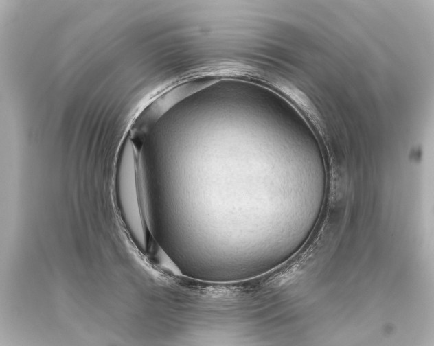 X0000093590850200710291121