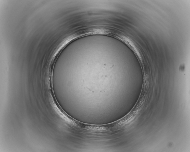 X0000093590851200710291121