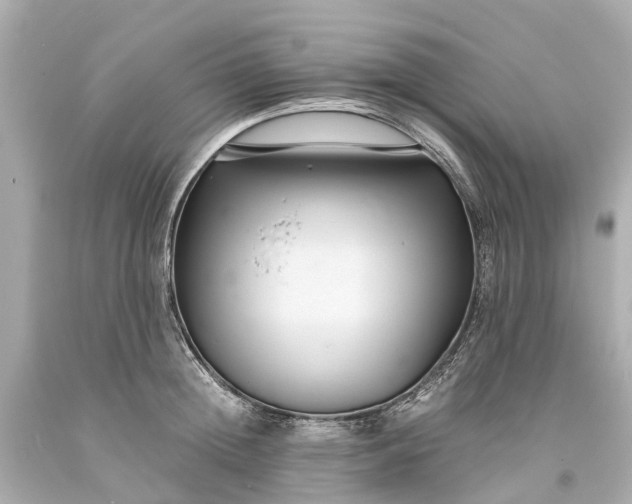 X0000093590852200710291121