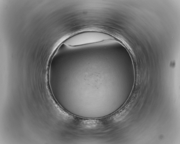 X0000093590853200710291121