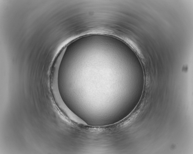 X0000093590854200710291121