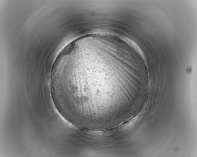 X0000093590855200710291121