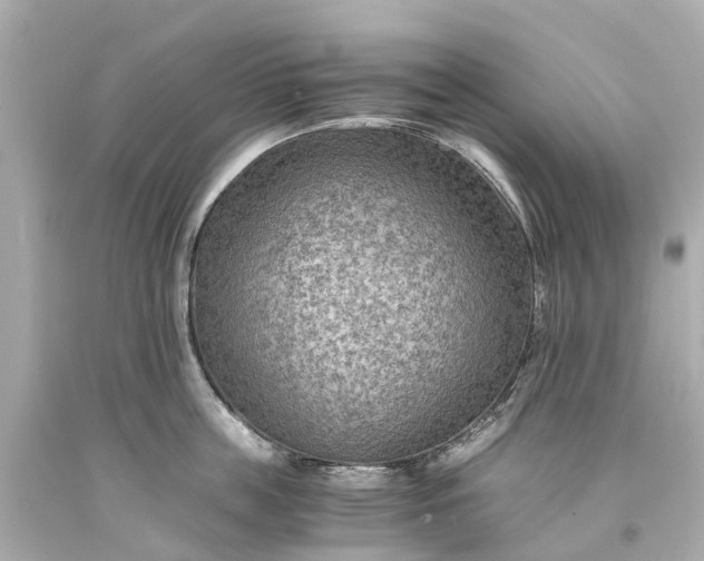 X0000093590859200710291121