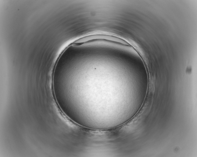 X0000093590862200710291121