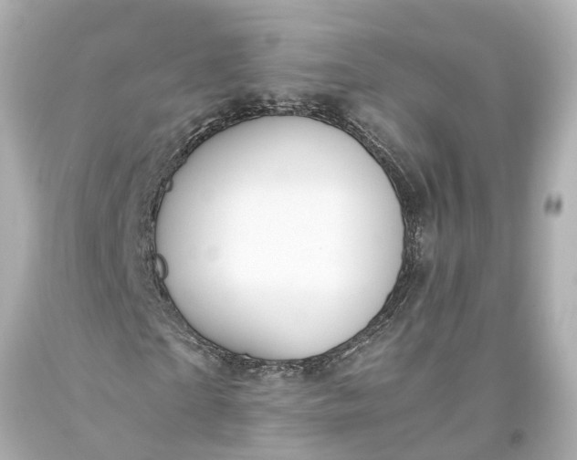 X0000093590865200710291120